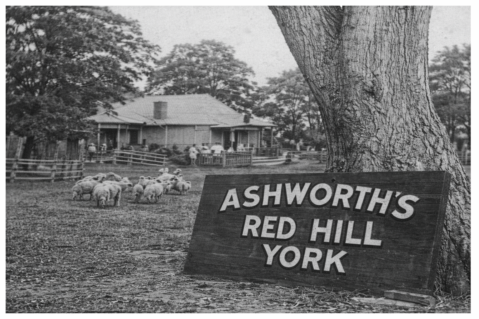 Distillery build and Preparation