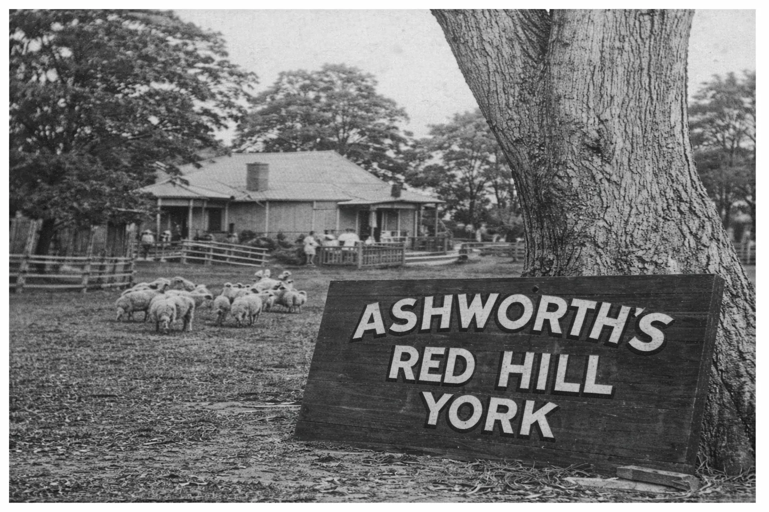 Coffin Rock Distillery site preparation and build planning